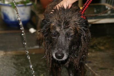 [shower.JPG]