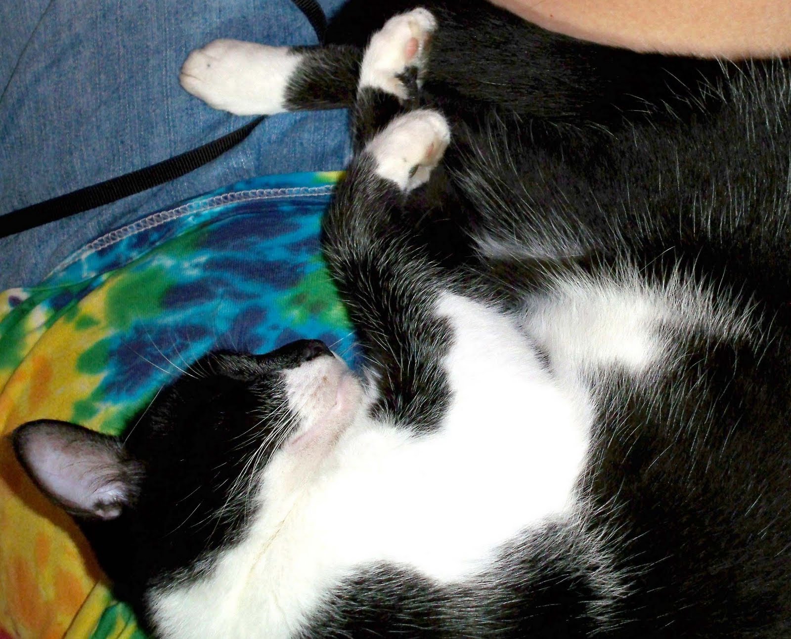 Sara's Colorwave Blog SOFT THINGS