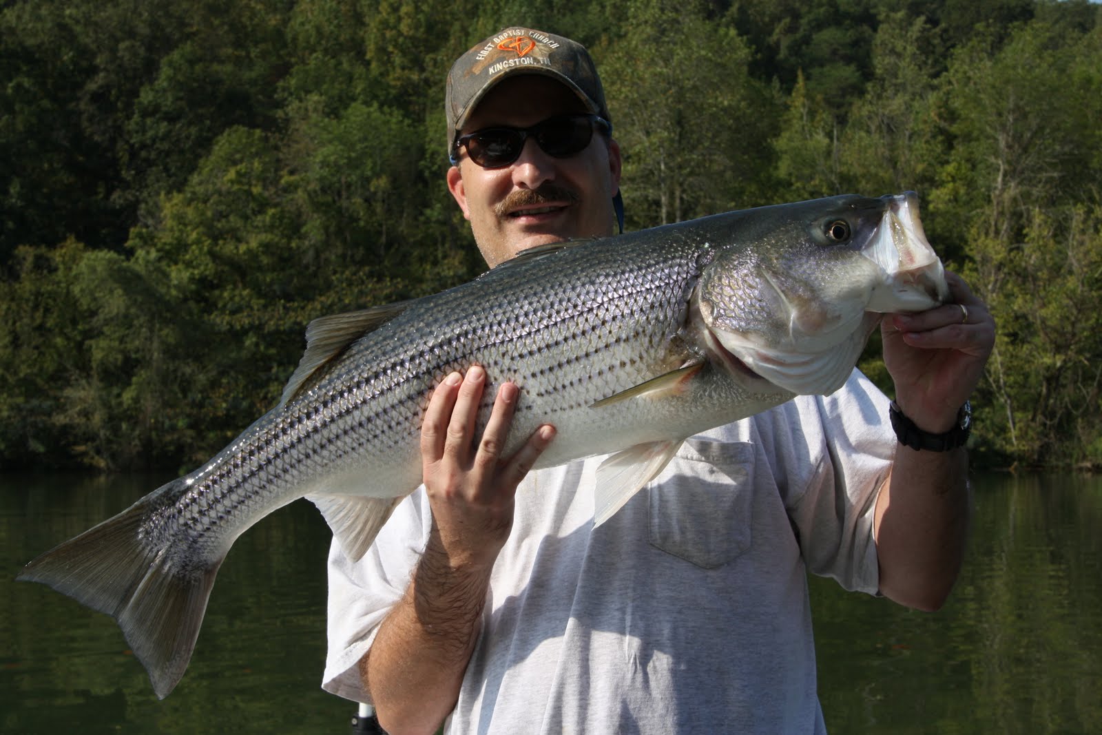 Fishing with Big E Clinch River Stripers