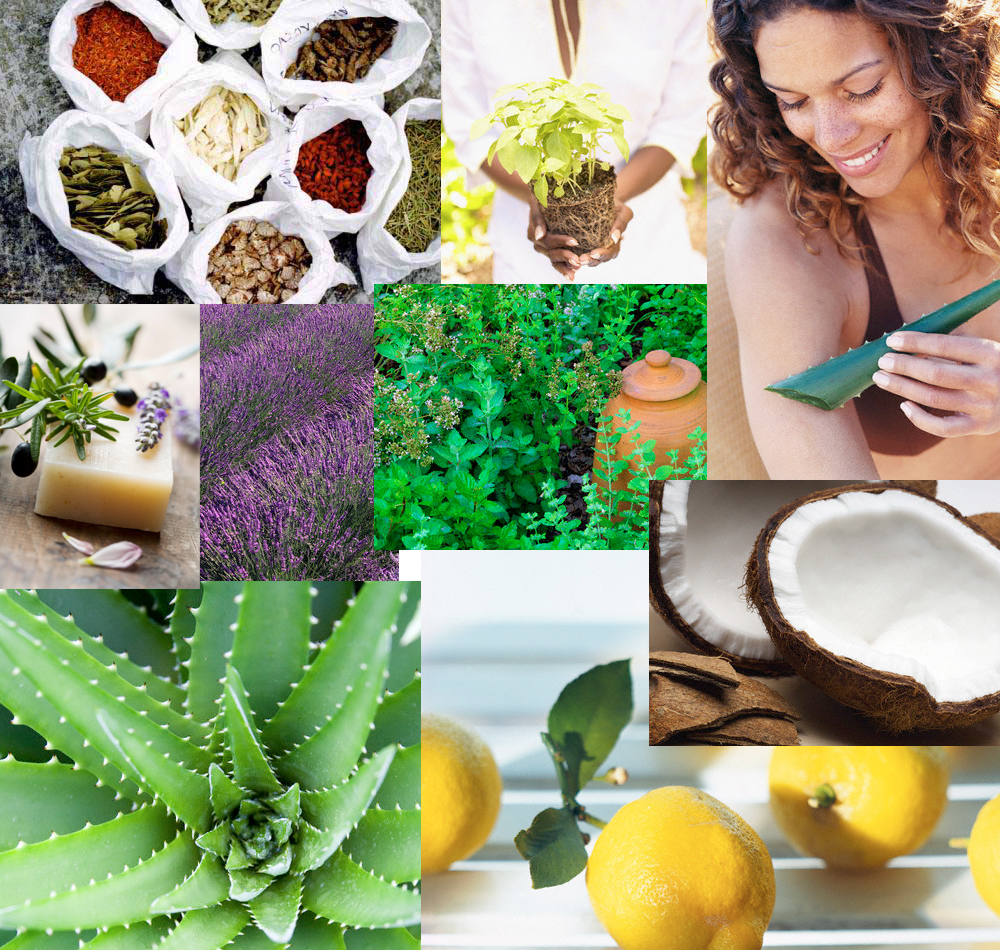 sustainable-natural-organic-hair-skin-care-natural-hair-growth-tips