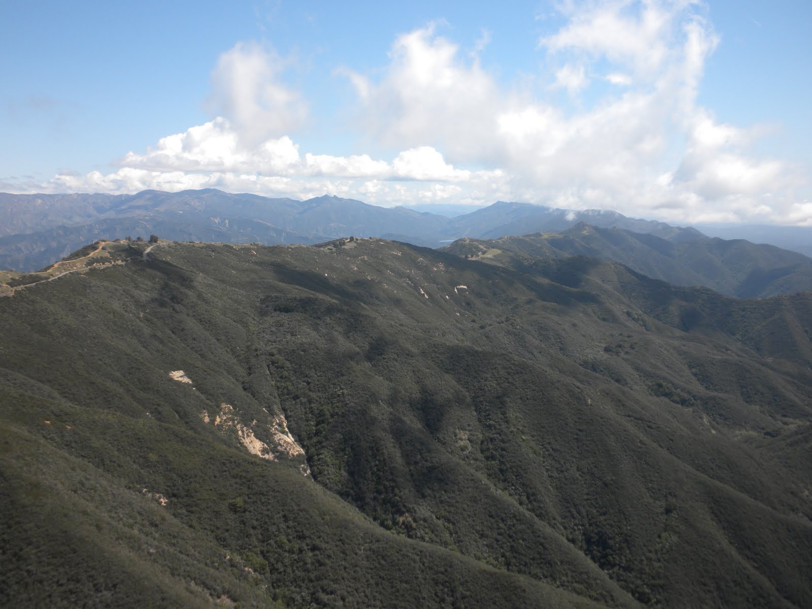 Zippy flying around the world Hang gliding with a California Condor
