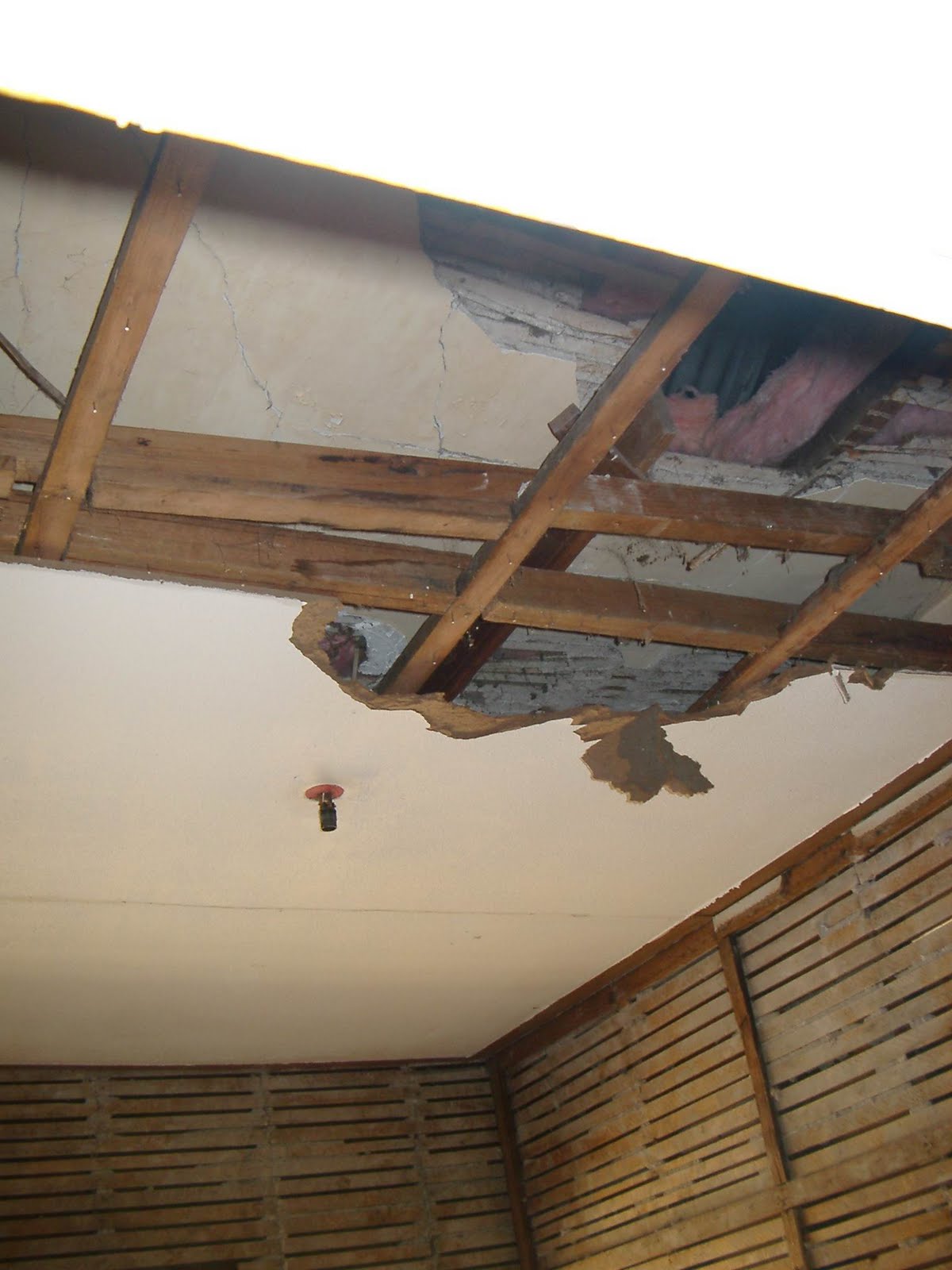We bought that?: Stripping off the internal wall cladding