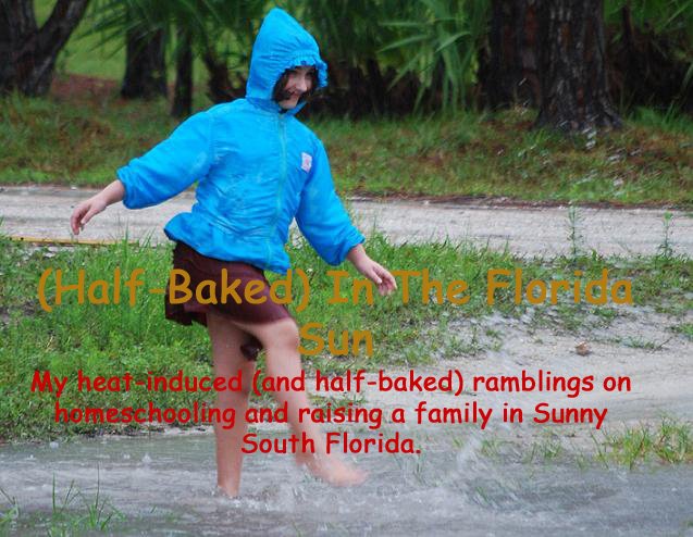 (Half-Baked) In The Florida Sun