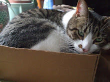 Every body should have a Charlie in a box!