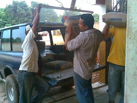IMAGEN 5