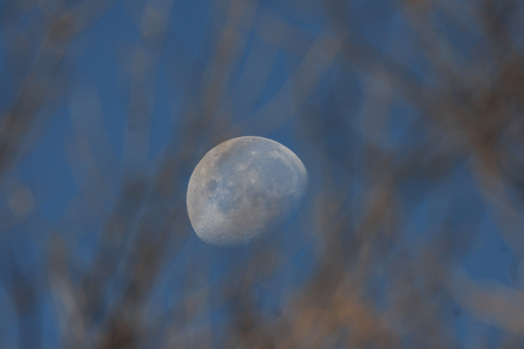 Bodzash Photography and Astronomy Using an Astronomical Telescope as a