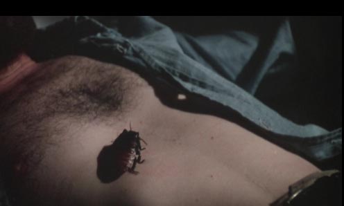 Bug-Scene3.jpg