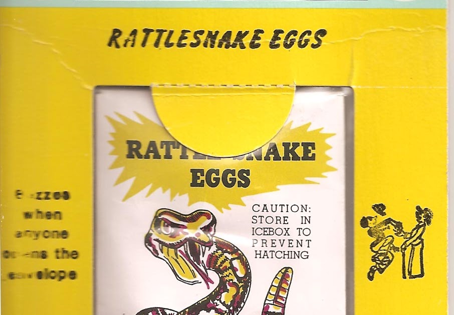 The Haunted Closet: Rattlesnake Eggs!