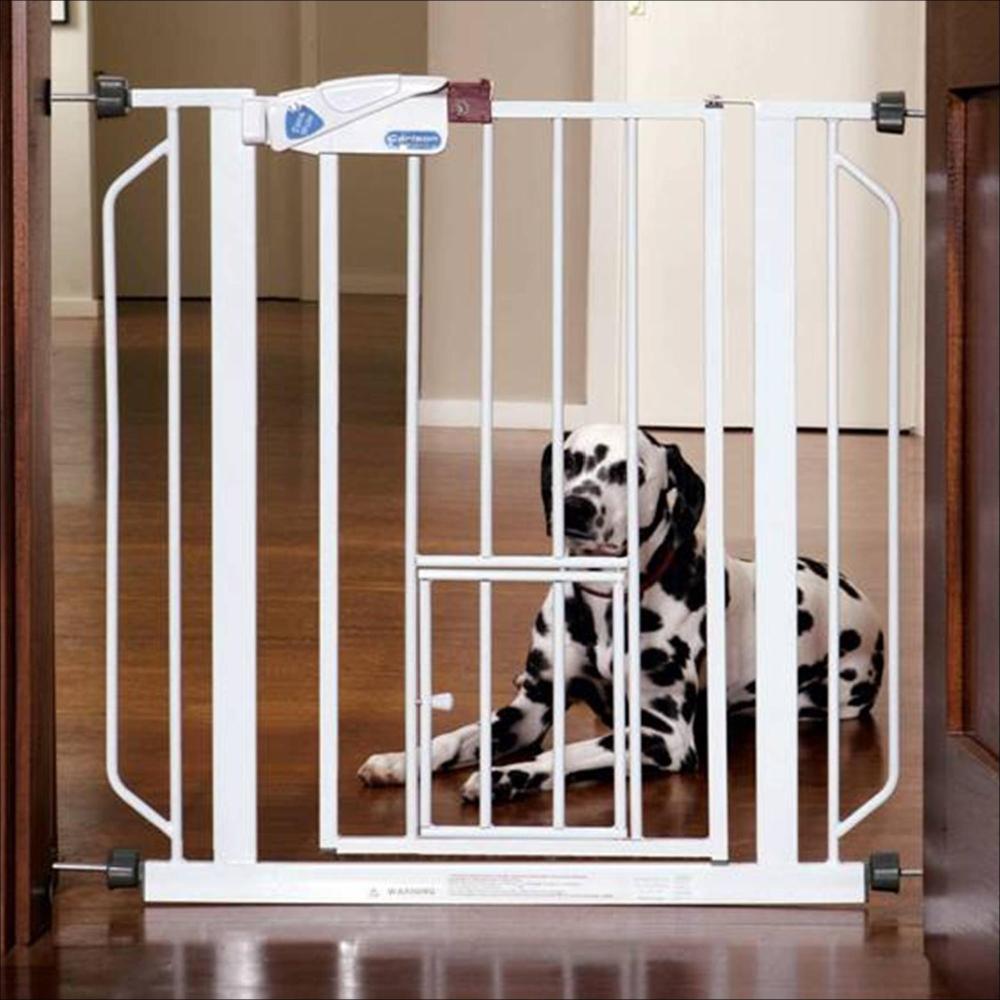 What to Look For in a Dog Gate