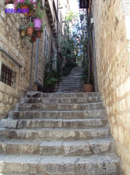 [5853_1189115525366_1152663962_565016_6240749_n.jpg]