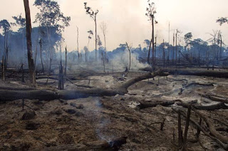 https://4.bp.blogspot.com/_YHegqZvJ-Co/TGEfO8dlGzI/AAAAAAAAABY/OfoQaGokVSA/s320/brazilian-rain-forest-destruction.jpg