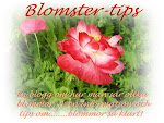 Min andra blogg "Blomster-tips"