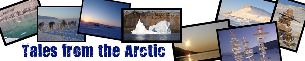 Tales from the Arctic