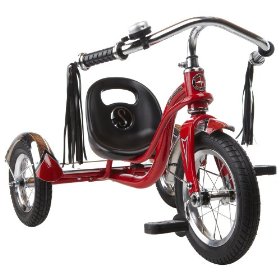 [trike.jpg]