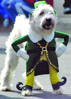 [pattydog.bmp]