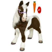 [fpony.jpg]