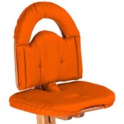 [orange.jpg]