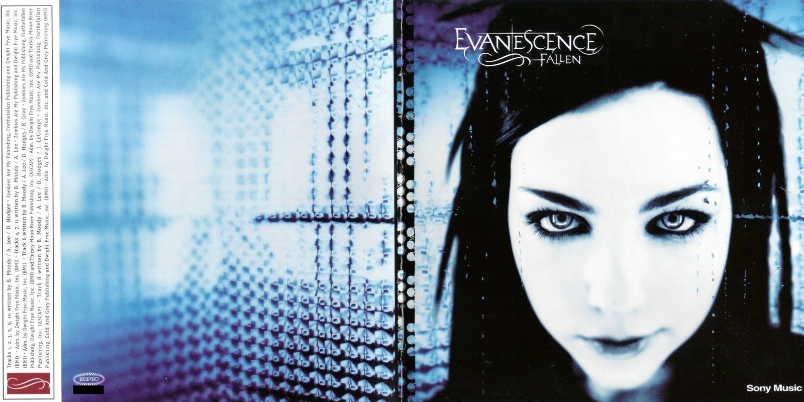 Amy lee evanescence 2003. Группа evanescence 2003. Evanescence альбомы. Evanescence альбомы. Evanescence – the open door.