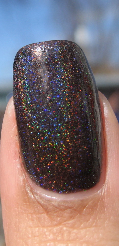 Holo+OPI+My+Private+Jet+IMG_3037.jpg