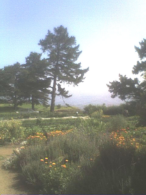 [052109_1549a-1.jpg]