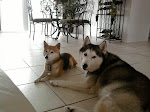 The Girls