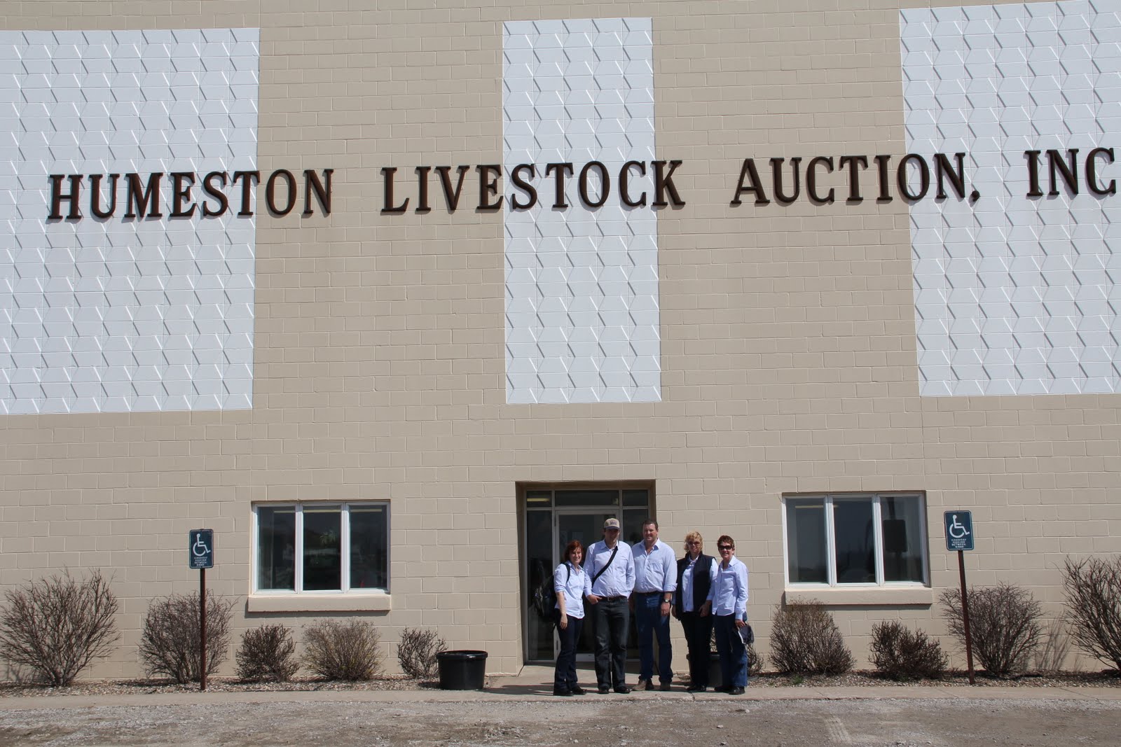 D9790GSED6000 Humeston Livestock Auction