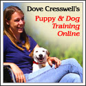 Puppy and Dog Training Online