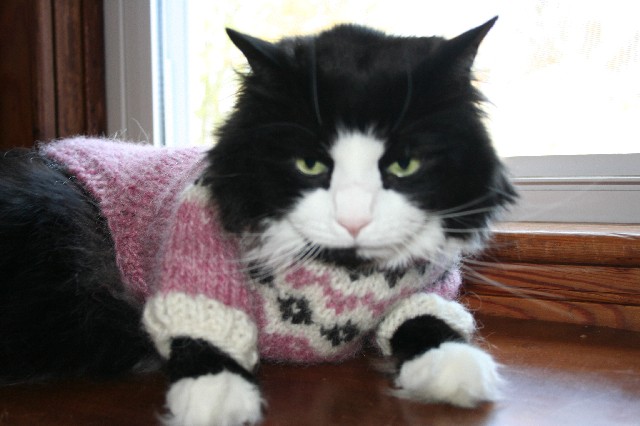 Free Knitting Patterns: Women&apos;s Sweaters - Learn How to Knit