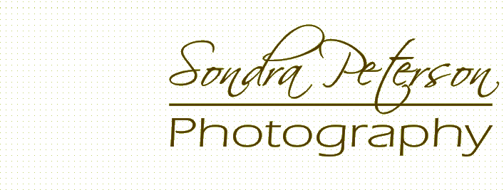 Sondra Peterson Photography