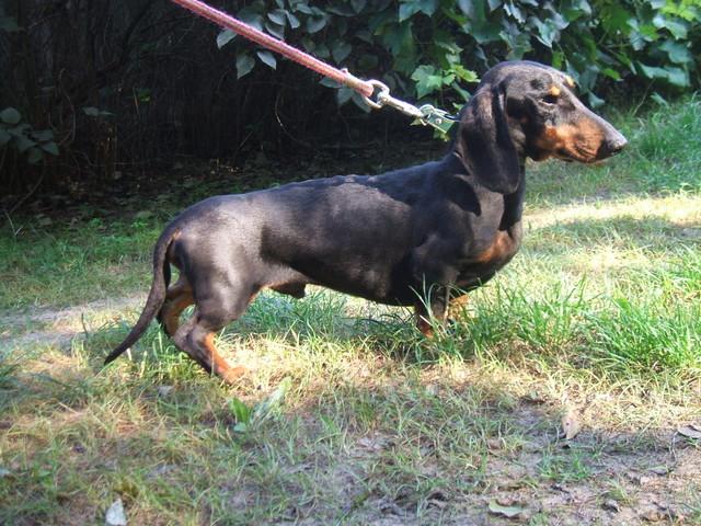 DSCF1020.JPG