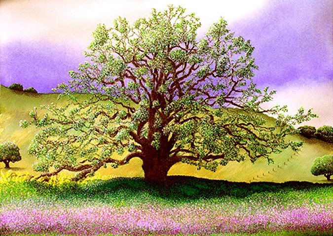 [oakiebudding.jpg]