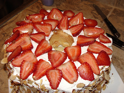 Josephine's recipes : how to make chinese new year cake 蒸年糕 sticky rice June 2009 ~ Food Generalist