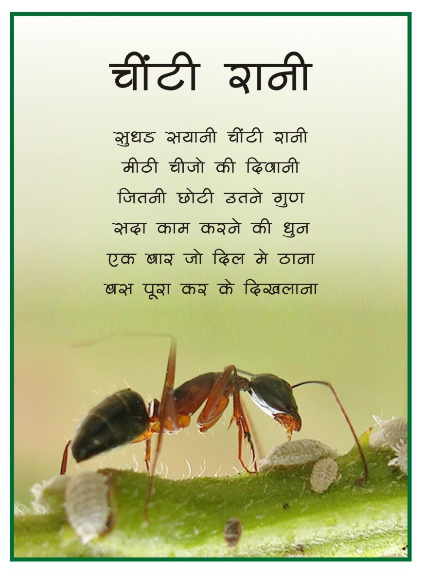 Rangeen Akshar Hindi Poems Chinti Rani Ant Rangeen Akshar Hindi Poems Chinti Rani Ant