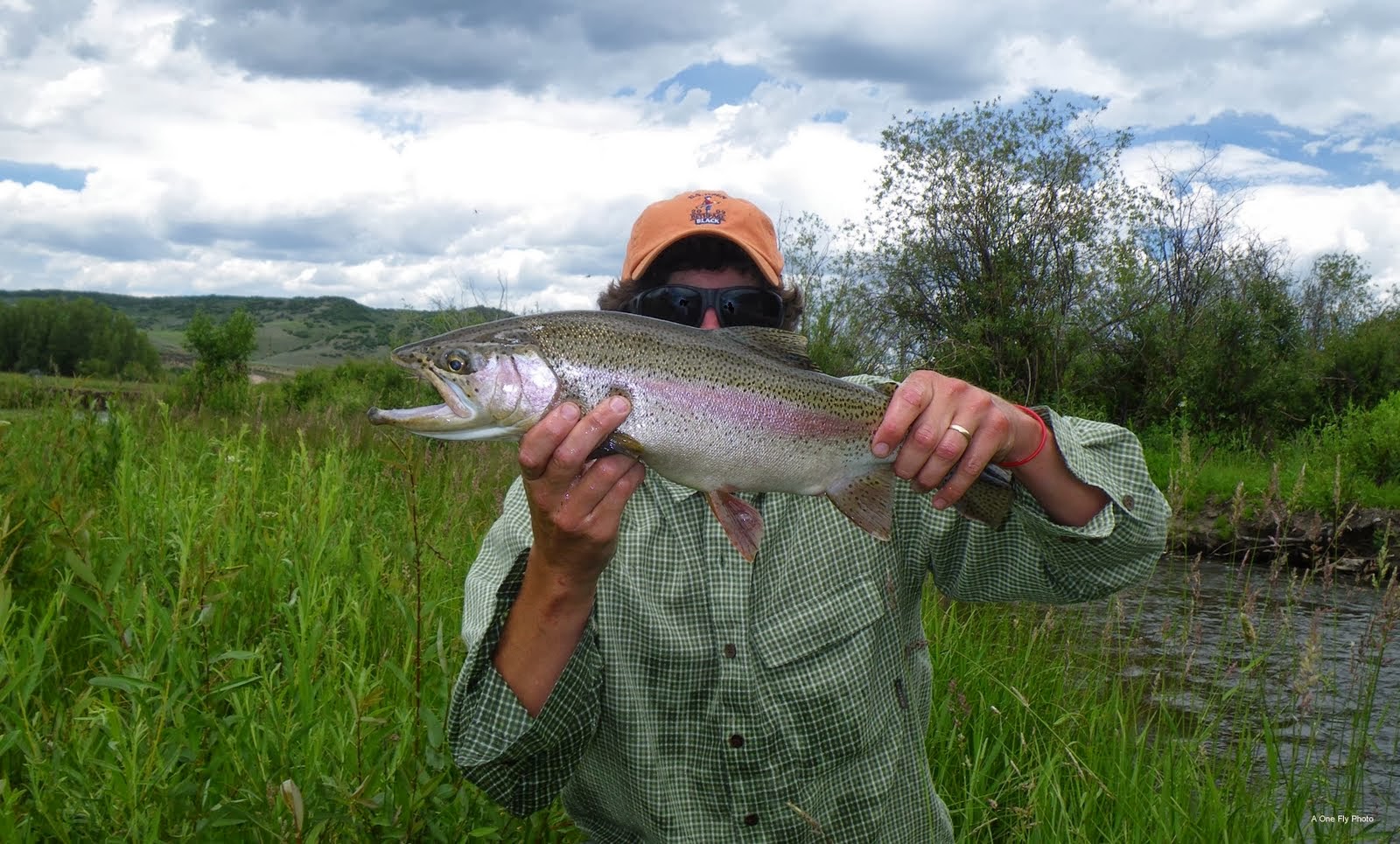 Outta the Cornfield Fish Wo Ho