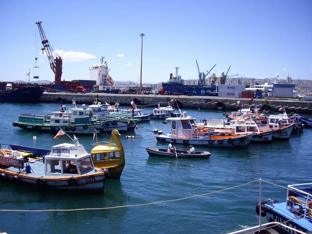 Jaque al Neoliberalismo "Clocks" de Coldplay... con Buena Vista Social