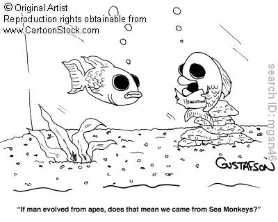 Sea Monkey Geek . com: Sea Monkey Evolution Hi-Jinx