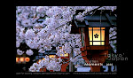 Spring of 東京都, Tōkyō-to honeymoon Moments' April of 2010