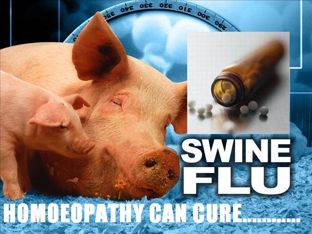 [homoeopathy-cure-swine-flu-h1n1.JPG]