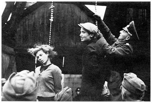 pdf women in nazi germany