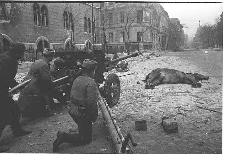 [soviet-russian-army-berlin-1945-ww2-second-war-two-incredible-pictures-images-photos-001.jpg]