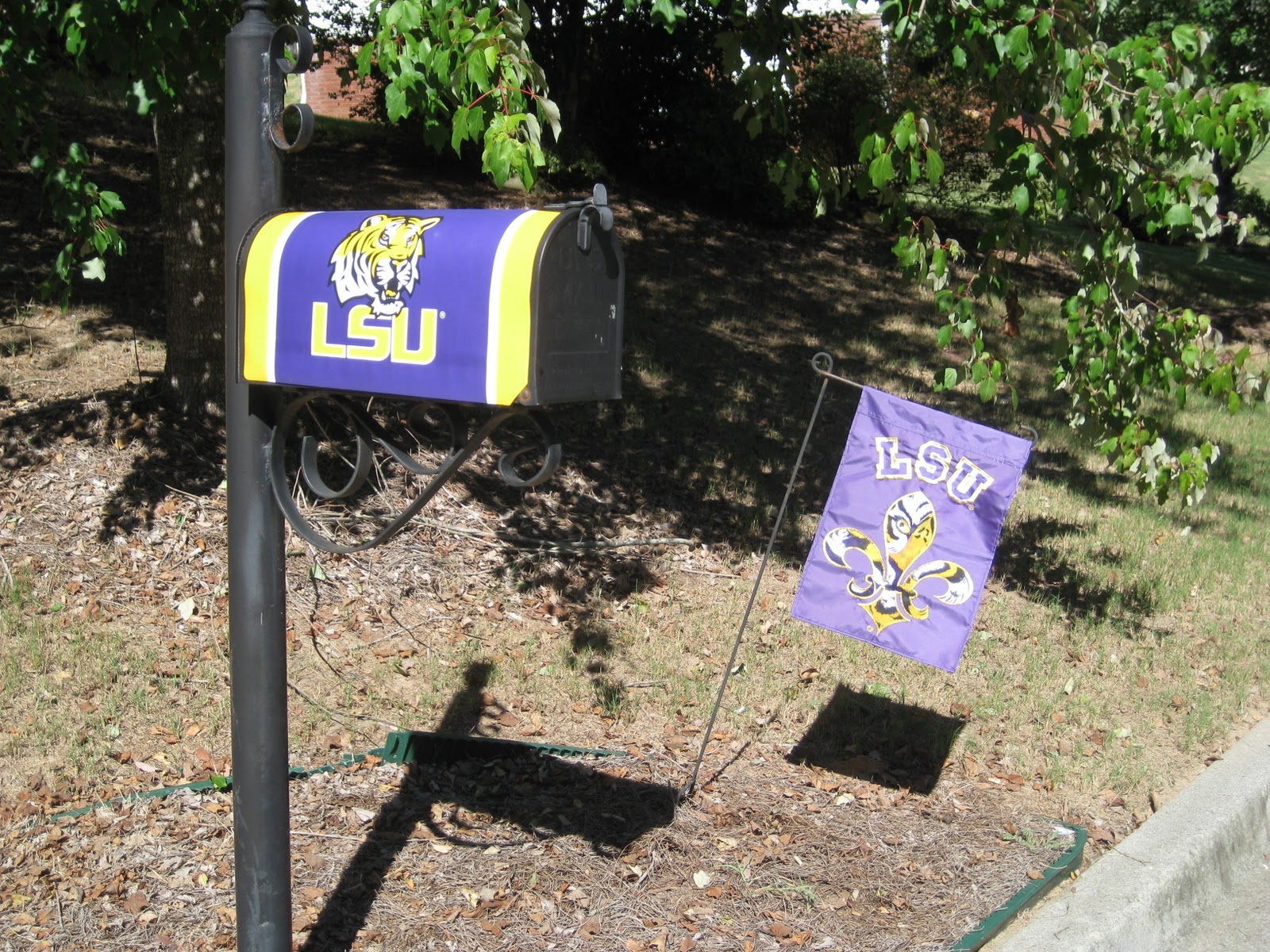 The Quilting Booklady Definition of a FANatic