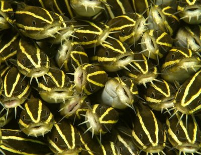 [Wonderful_Undersea_4.jpg]