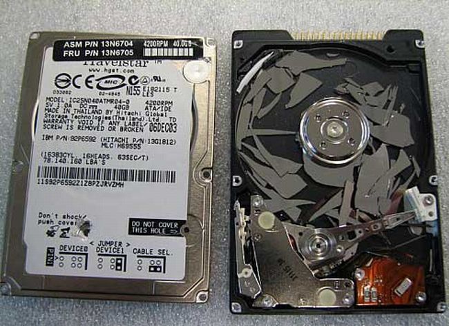 [gadget_05.jpg]