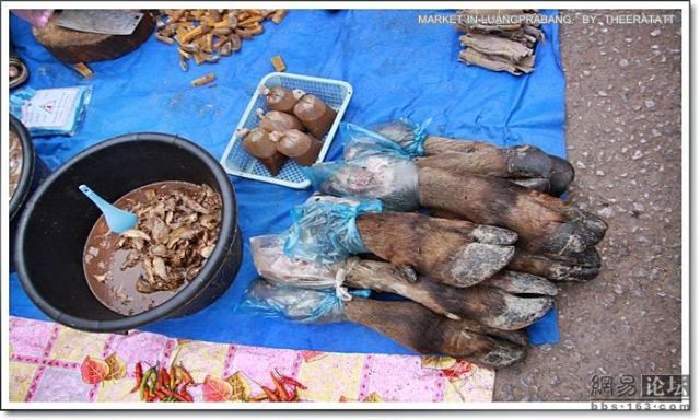 [asian_market_16.jpg]