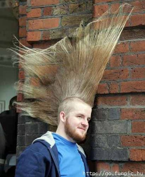 [hair_10.jpg]