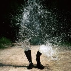 untitled.bmp