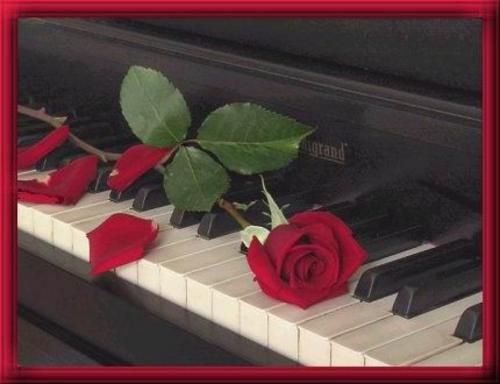 [PIANO.JPG]