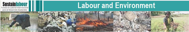Labour and Environment