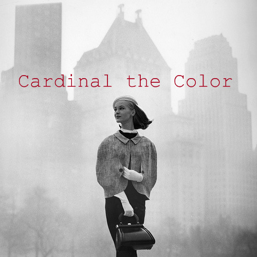 Cardinal the Color