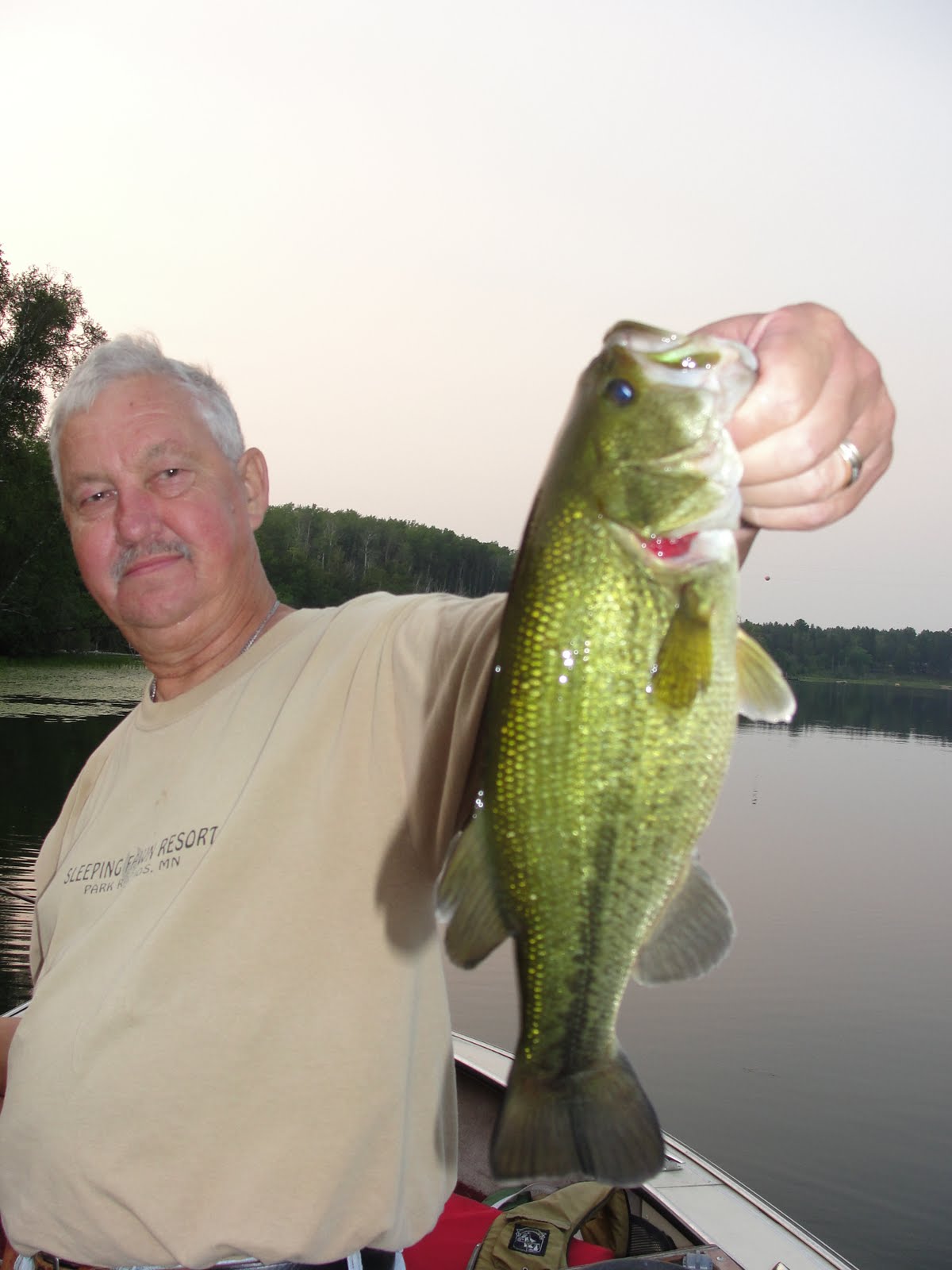 zz fawn Largemouth Bass are biting!